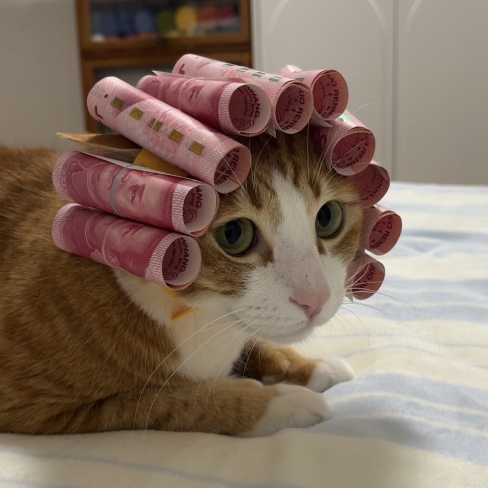 奴才：這倒是沒錯啦