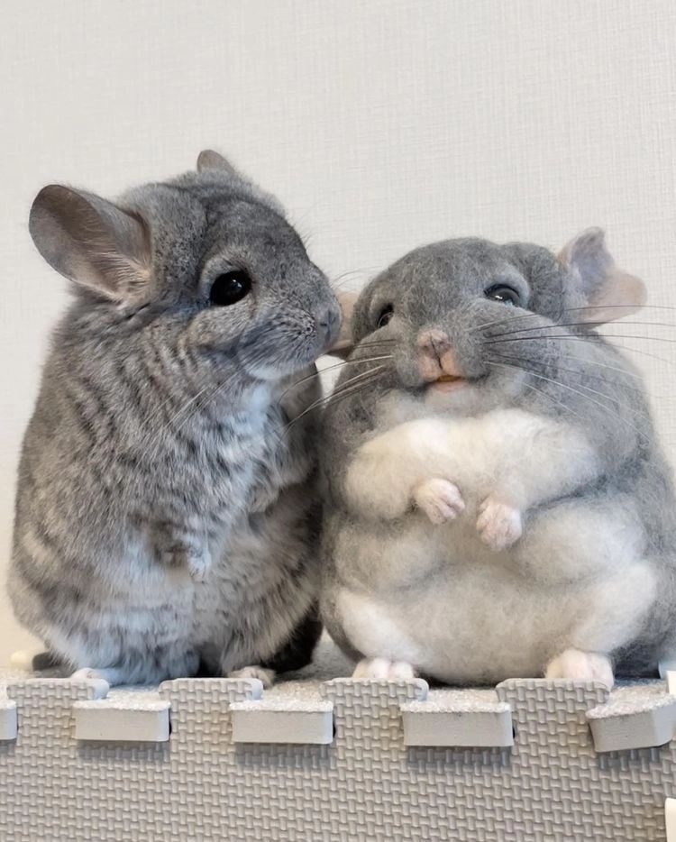 奴才：好啦～知道你形象很重要