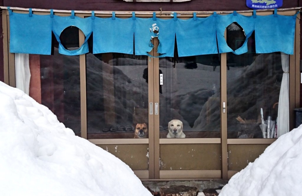 奴才：等下一位住客來跟你們玩囉