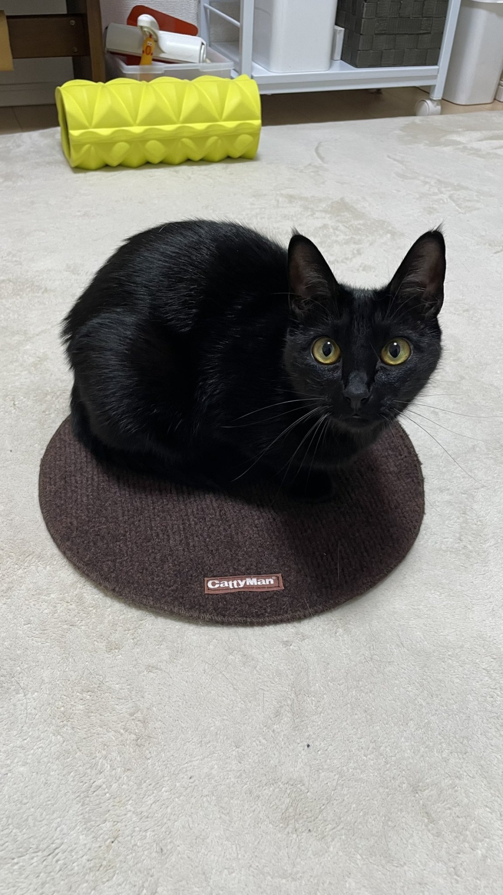 奴才：那可就太好了