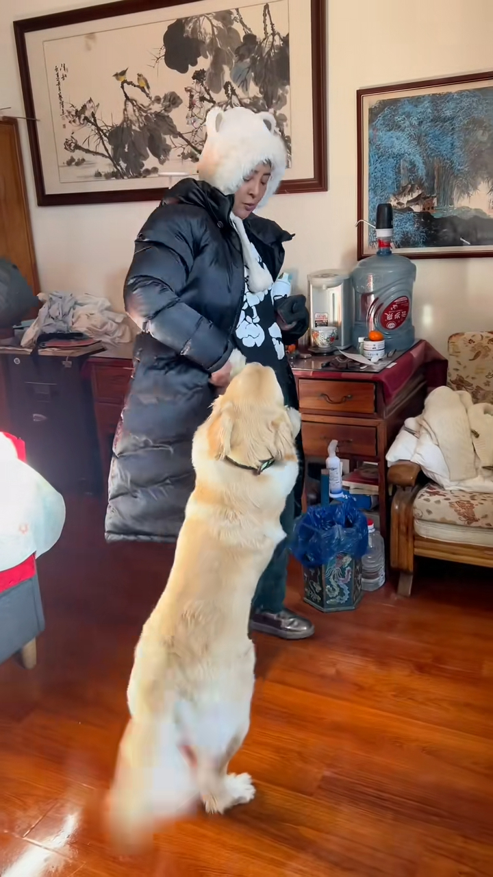 周海媚愛犬去向曝光！