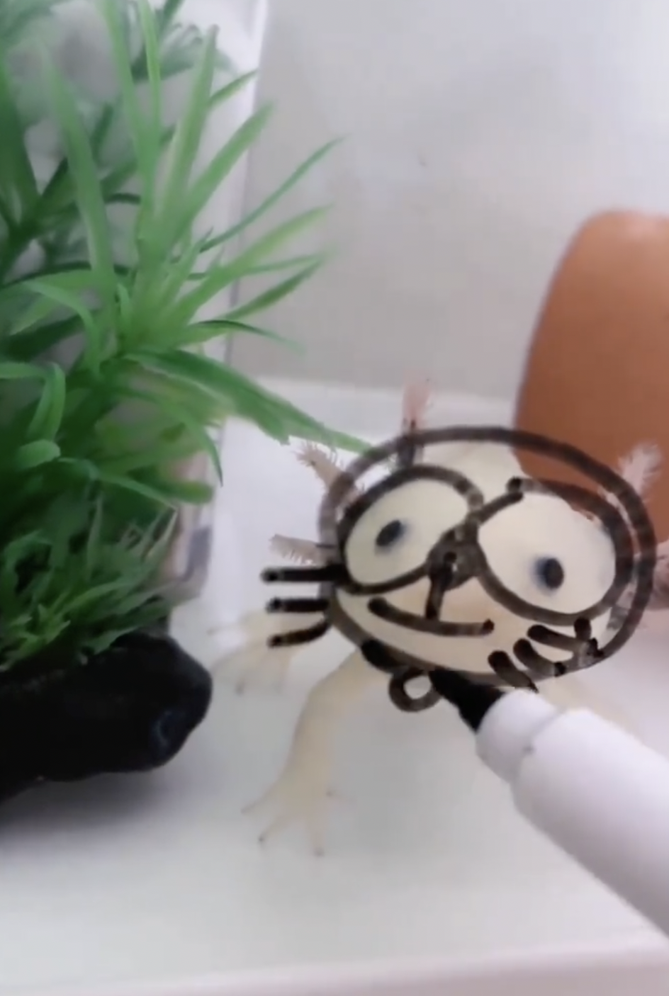 奴才：全部都超配的捏