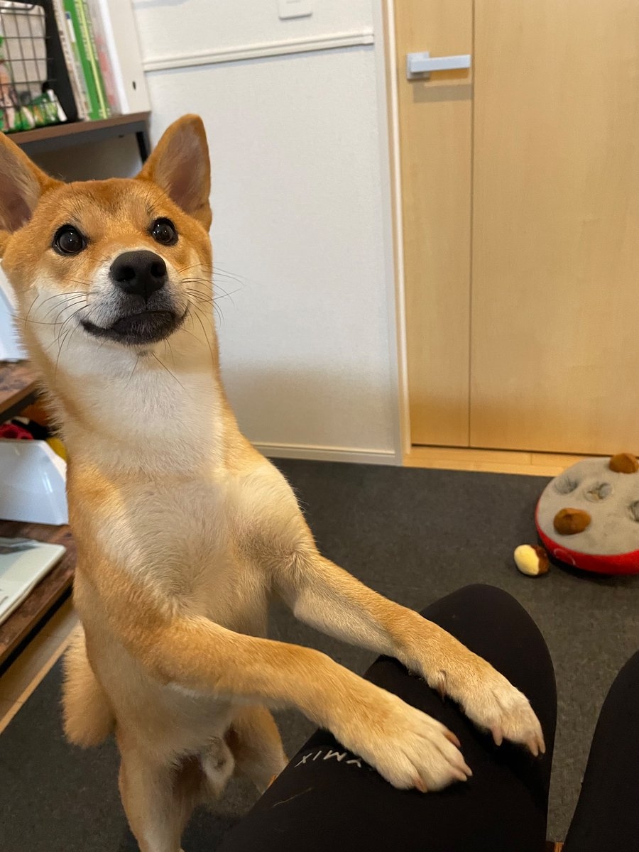 奴才：現在不能吃啦