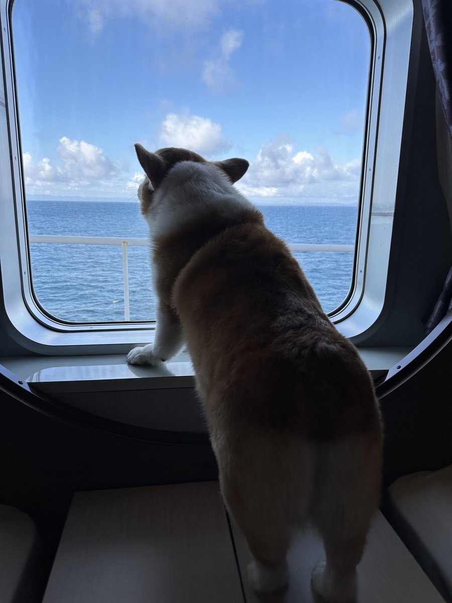 奴才：怎麼會呢