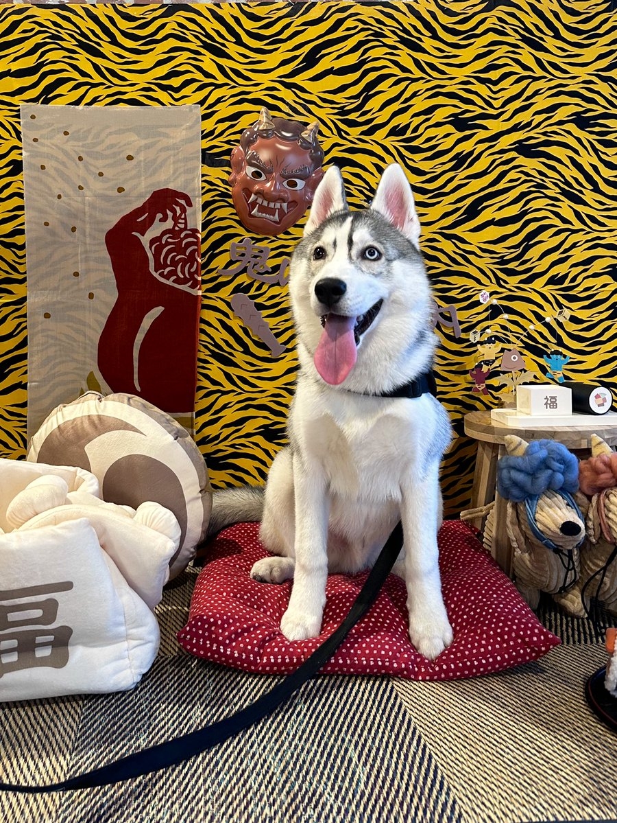 奴才：誰讓你那麼迫不及待