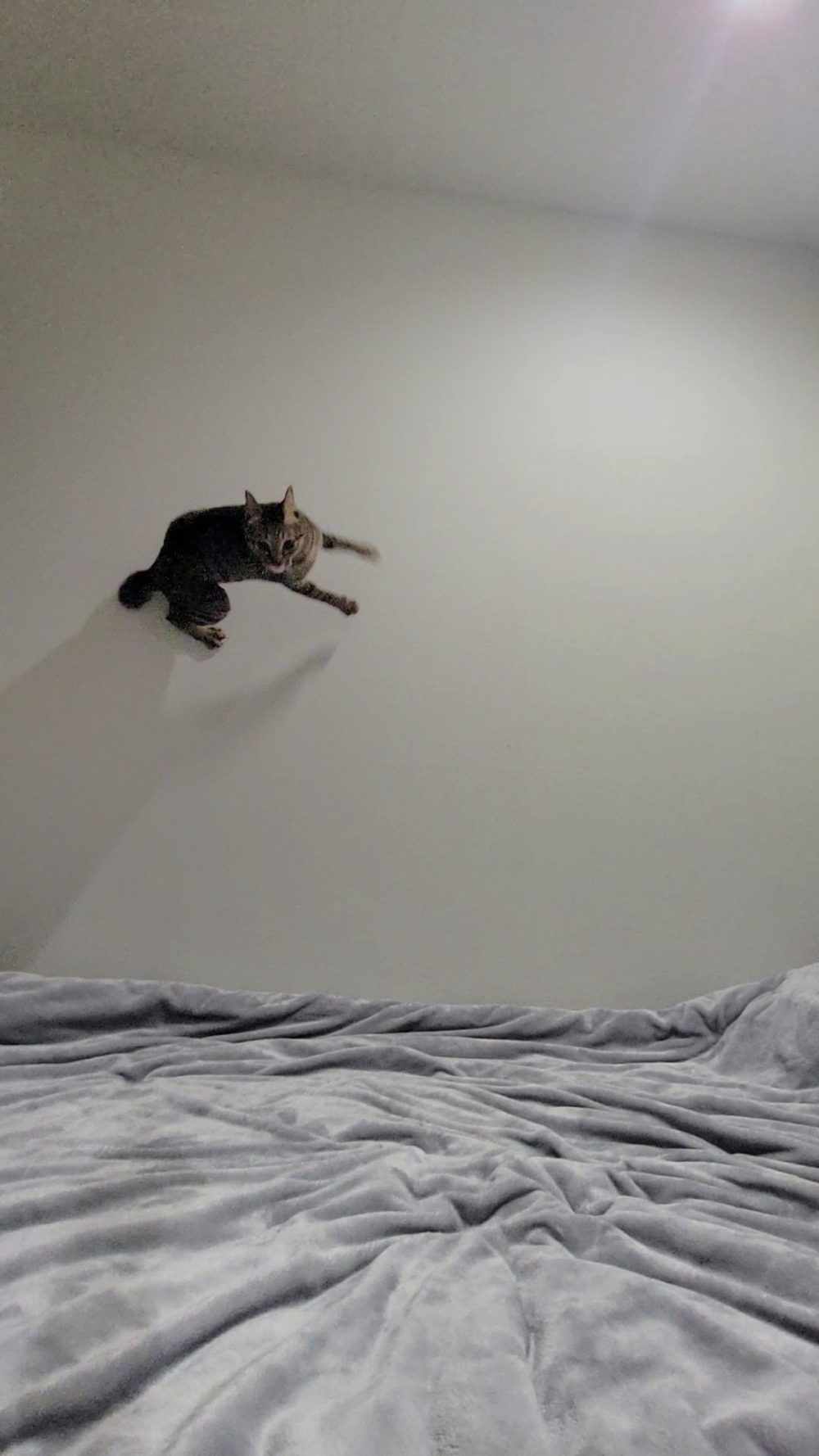 奴才：現在懂了啦