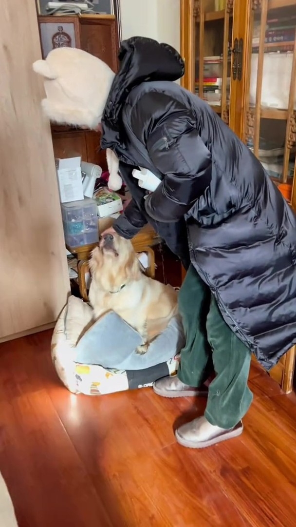 李勤勤承諾會好好照顧周海媚的愛犬。