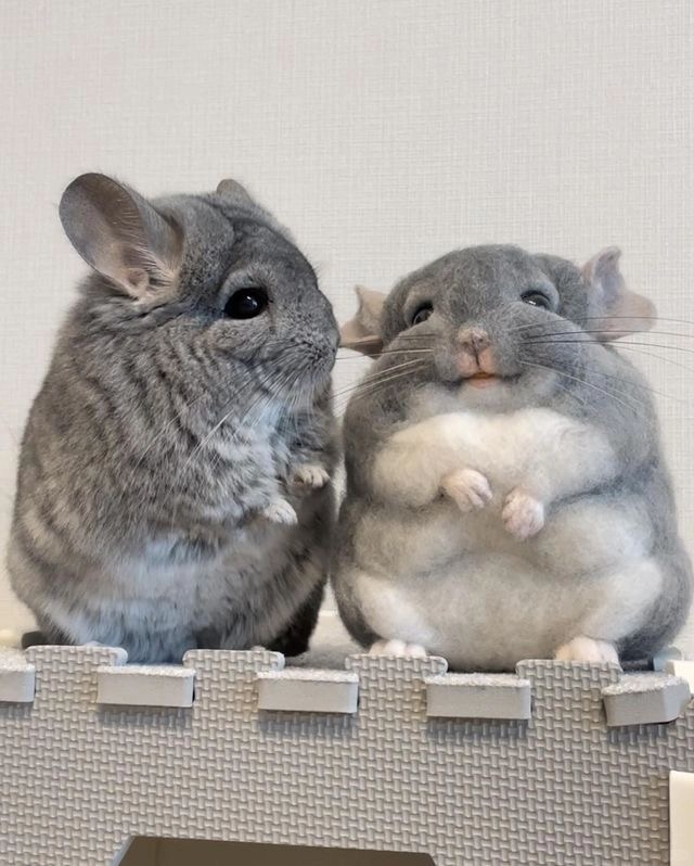 奴才：兩種狀態都喜歡