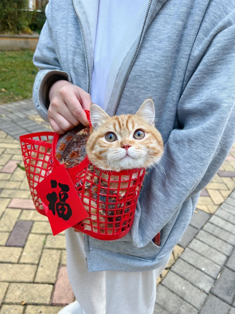 奴才：那我考慮一下吧