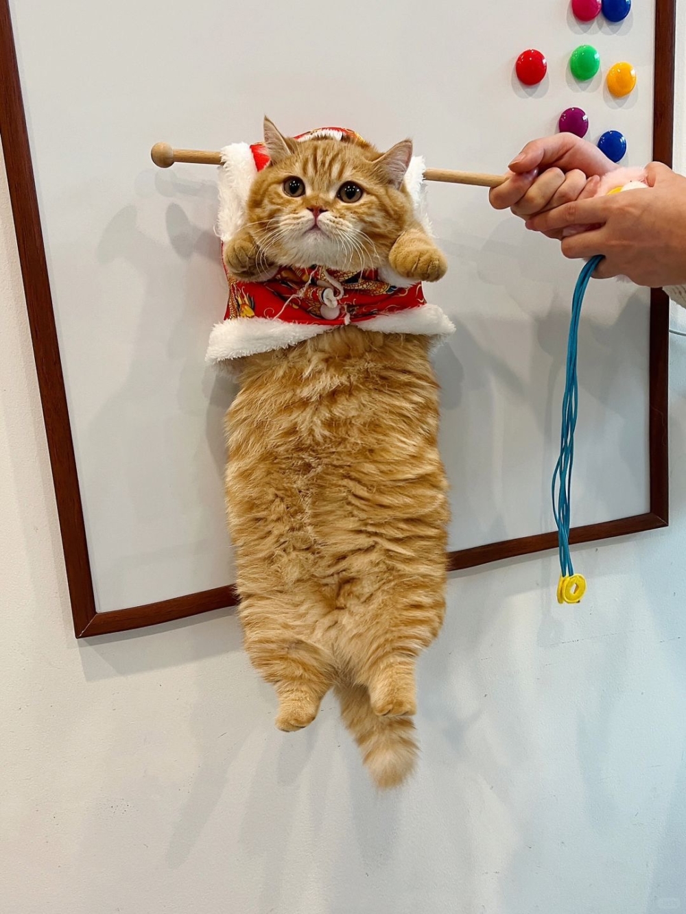 奴才：但是這樣咬人家屁屁也是不對的呀