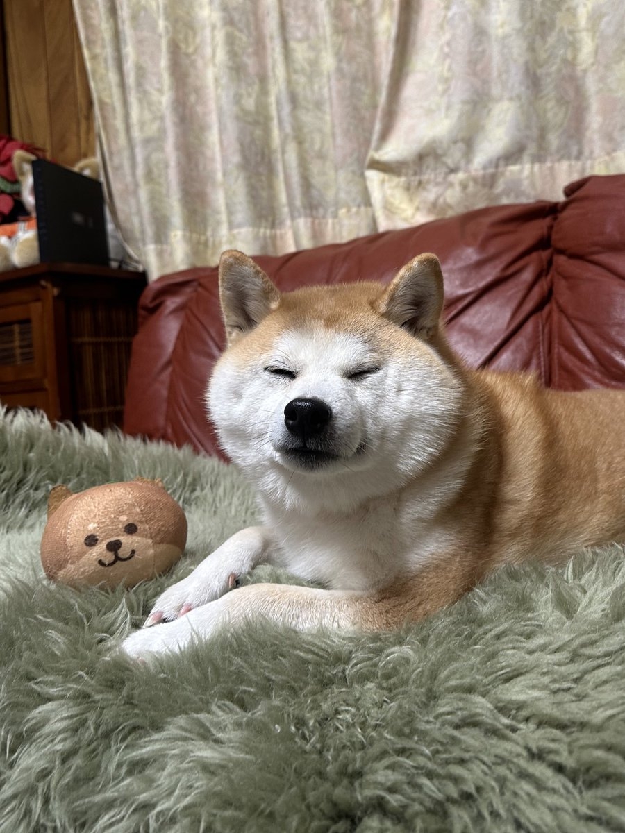 奴才：真是謝天謝地啊