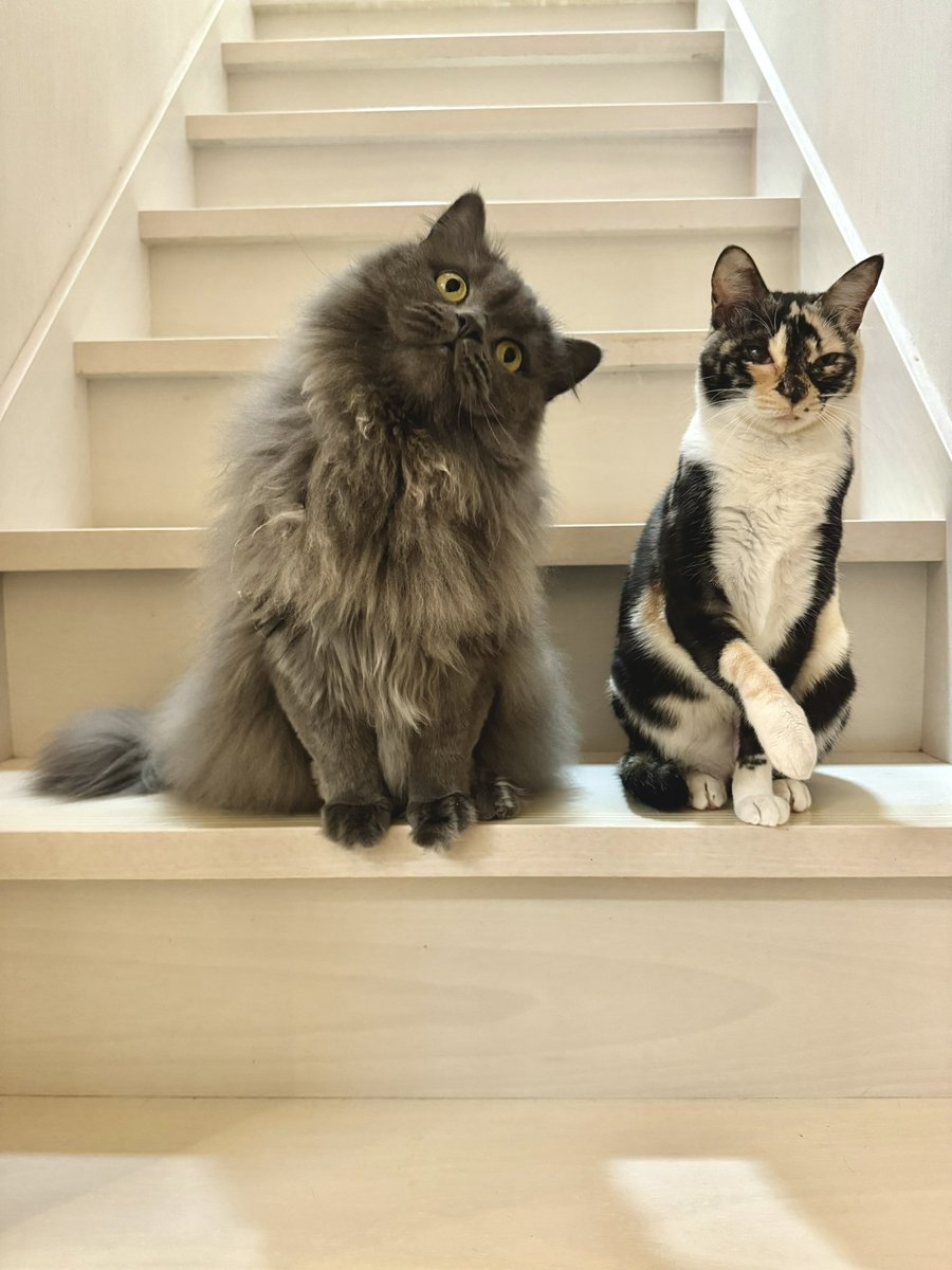 奴才：沒想到還有這樣的待遇啊