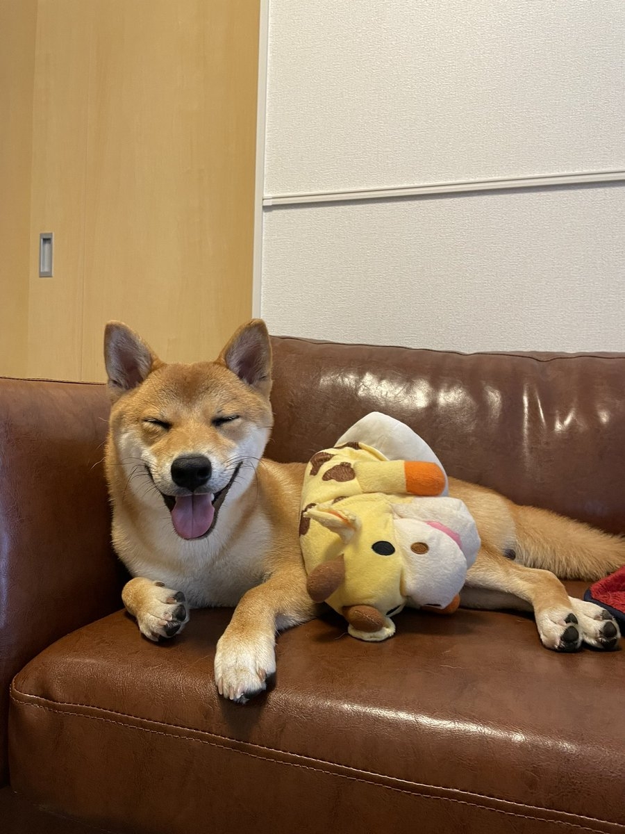 奴才：你不是才剛吃飽