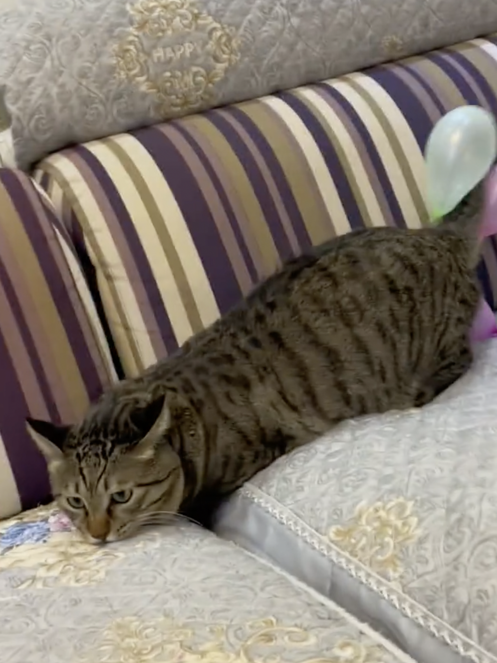 奴才：靜電的威力太強了