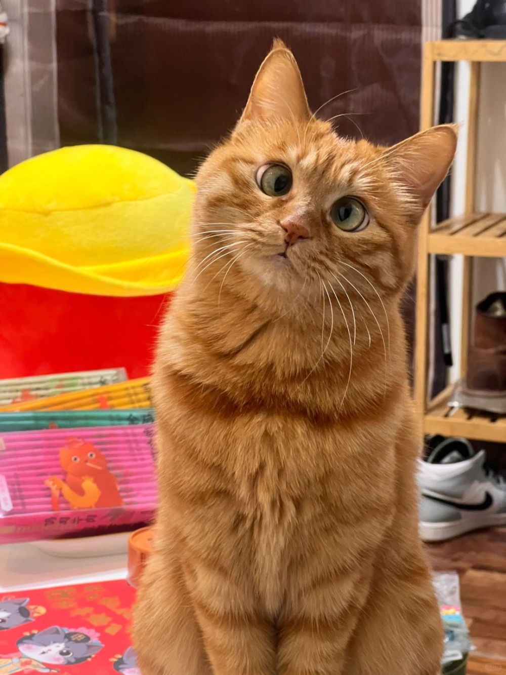 奴才:怎麼會呢~