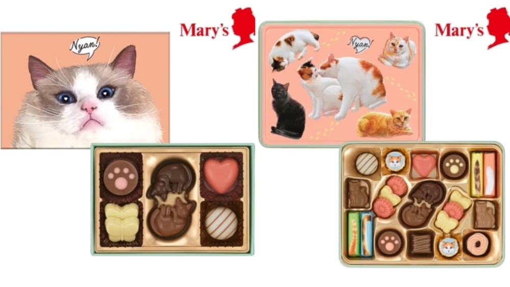2024情人節系列-Mary’s與貓咪