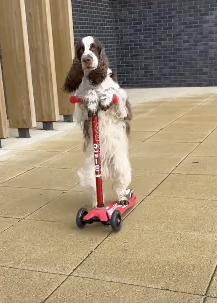 奴才：變成要你來教我了嗎？