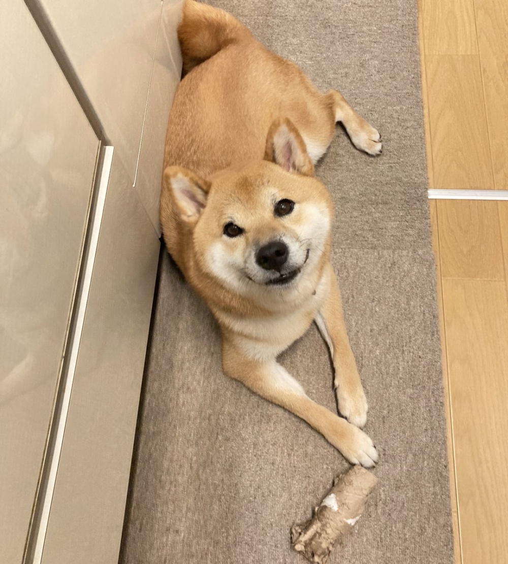 奴才：那好吧...