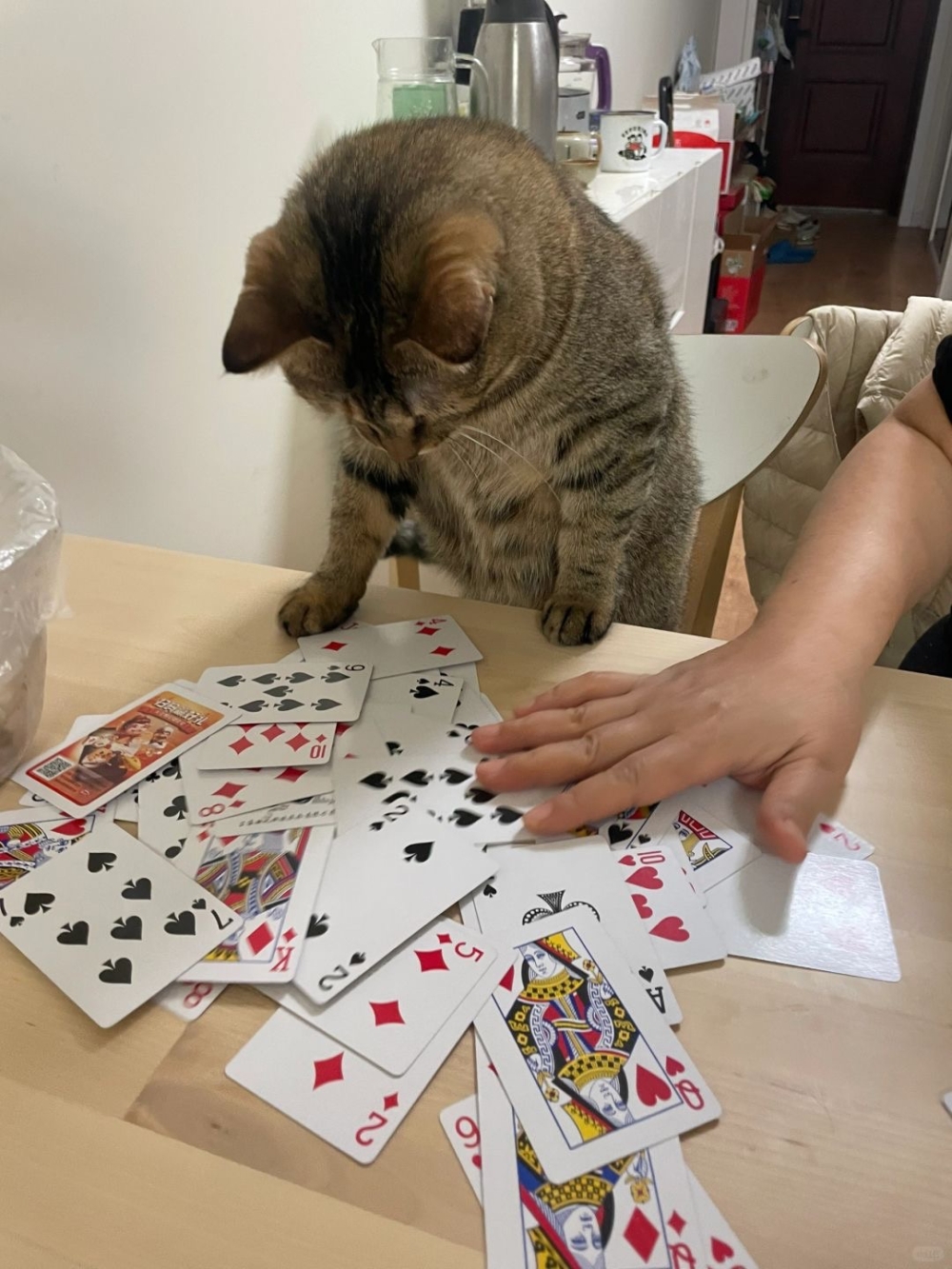 奴才：那就用你來抵債囉～