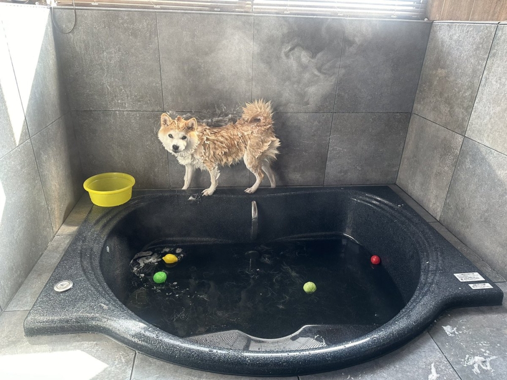 奴才：小心著涼喔