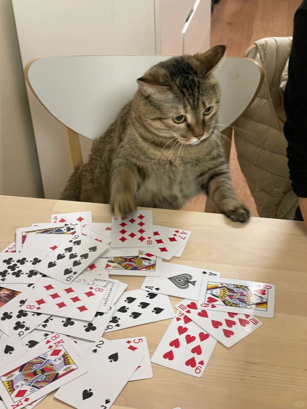 奴才：怎麼可以耍賴啊