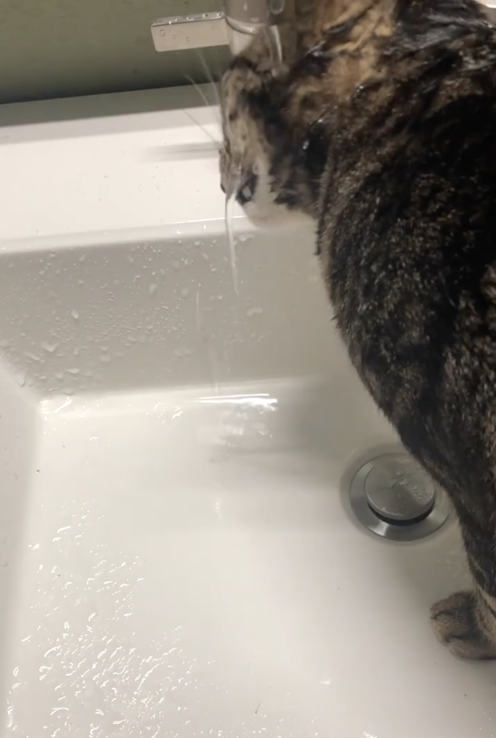 奴才：你能接受就好囉