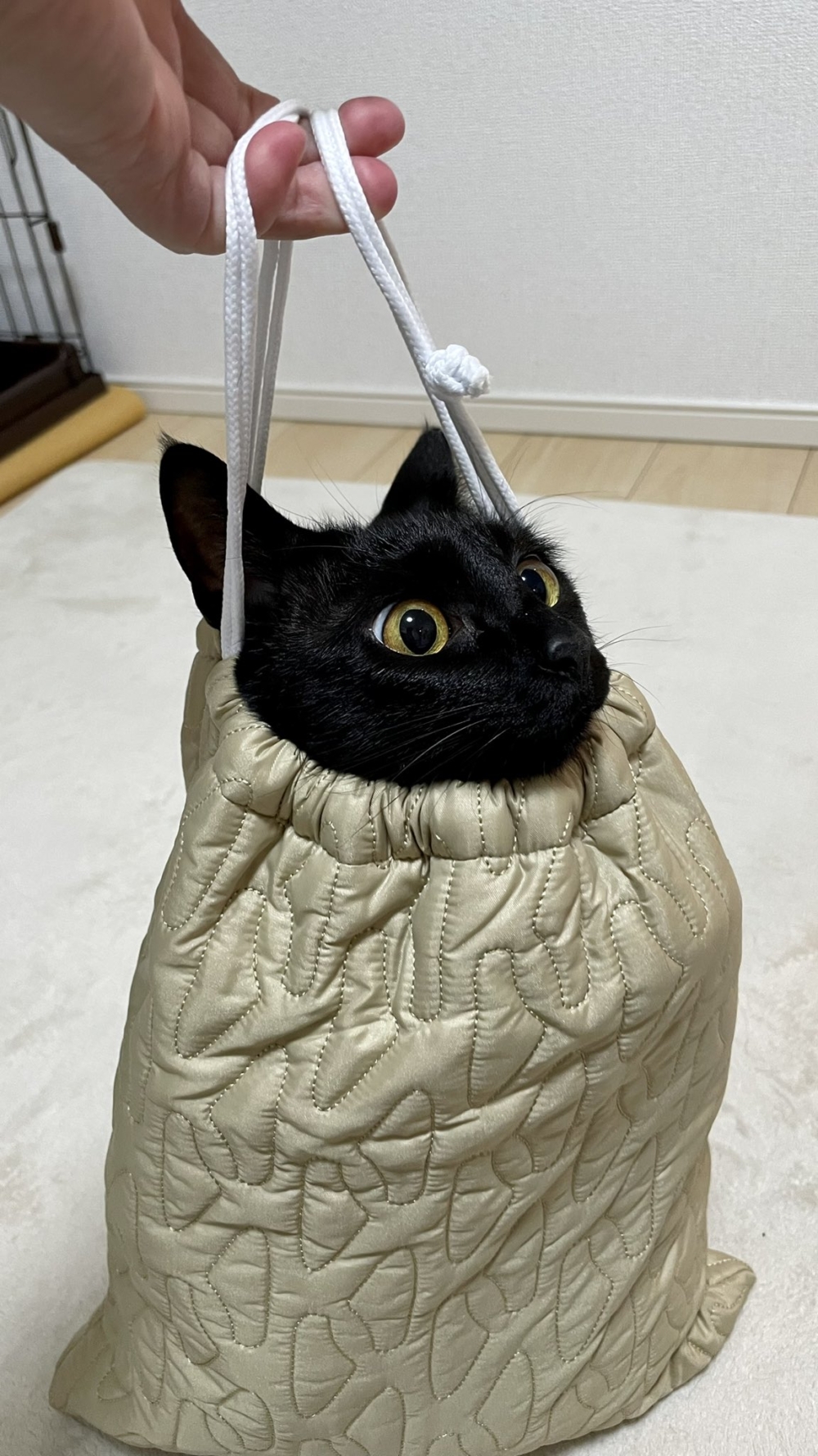 奴才：簡直量身定制一樣