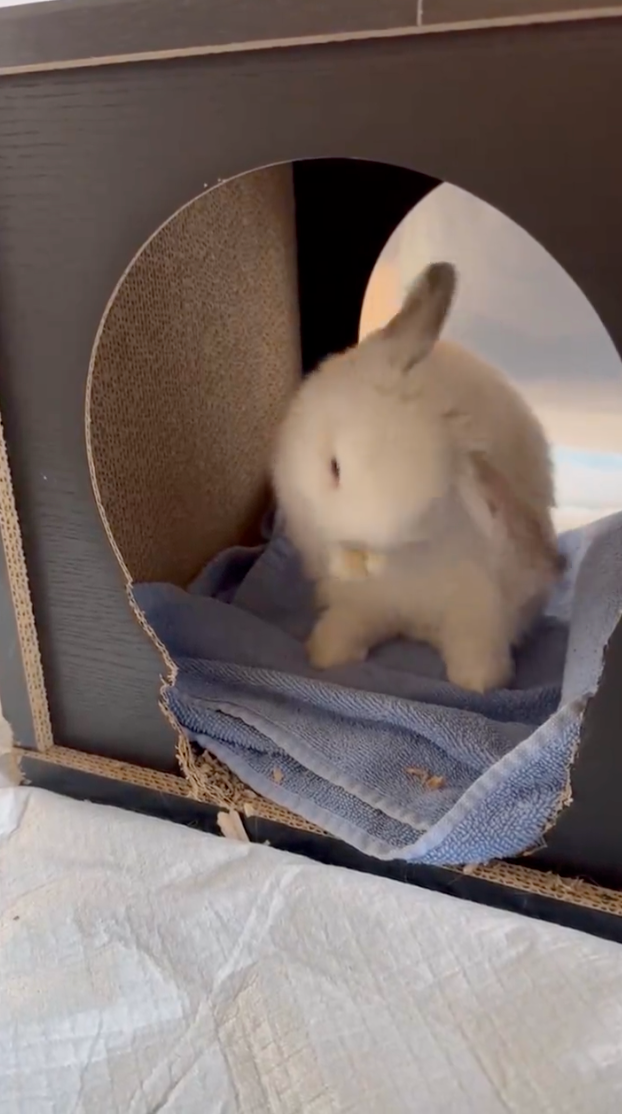 一切都還很正常~