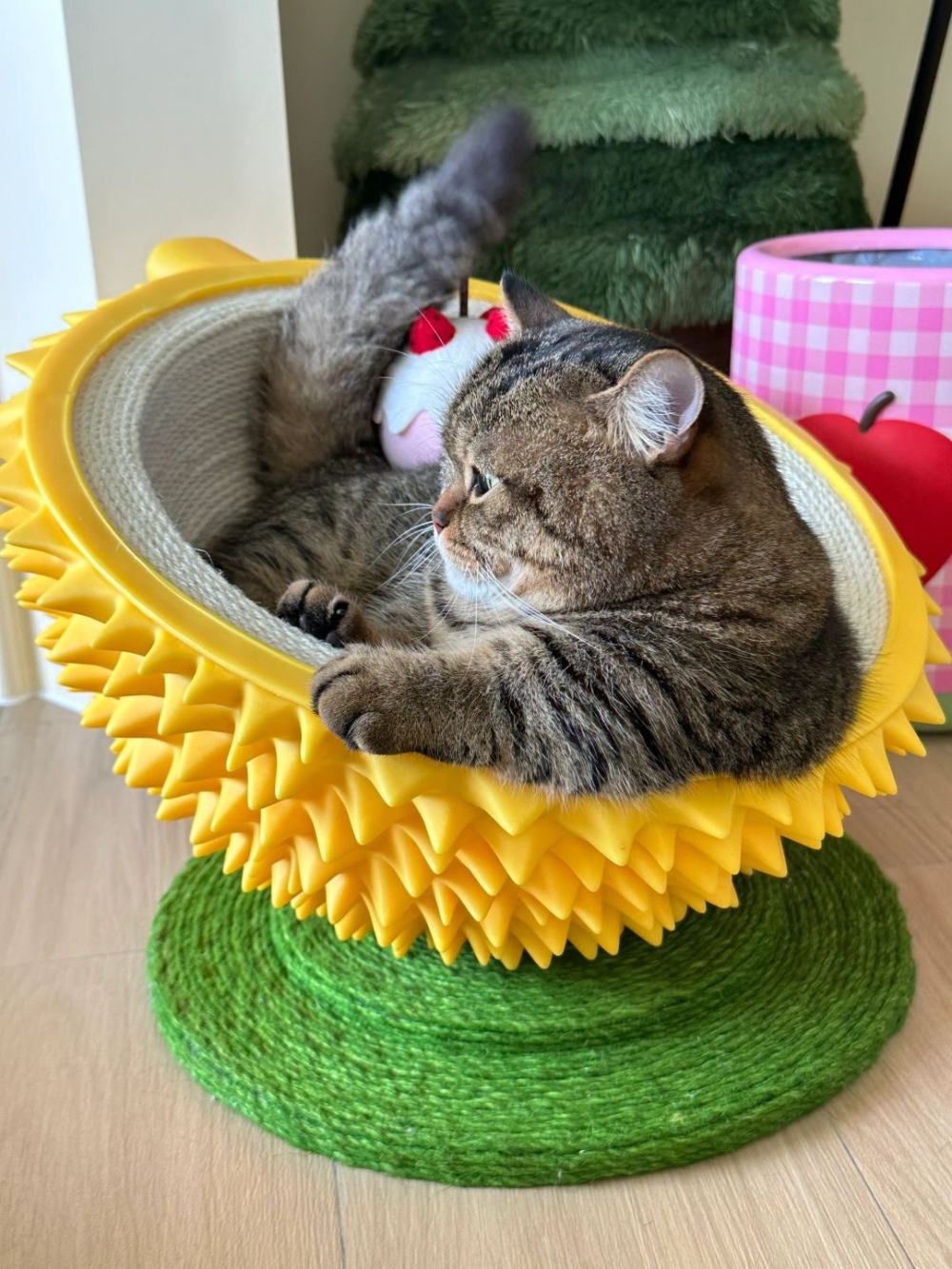 奴才:你想太多了