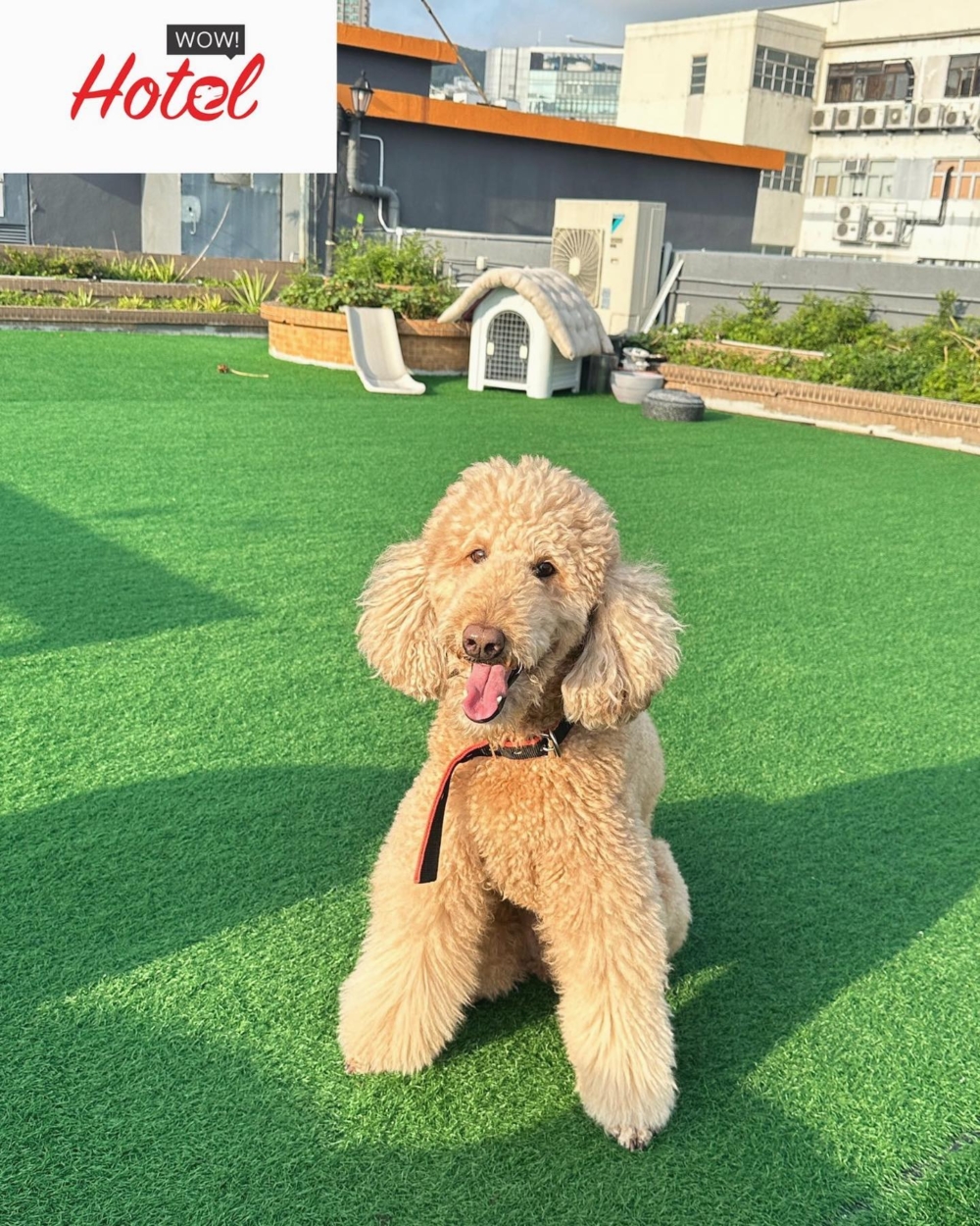 WowHotel設有户外草地。