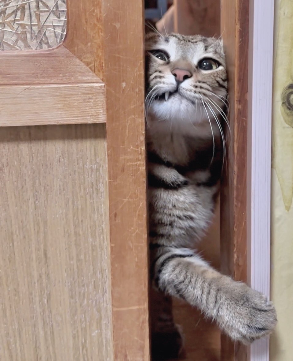 奴才：分開一下下都不行嗎？