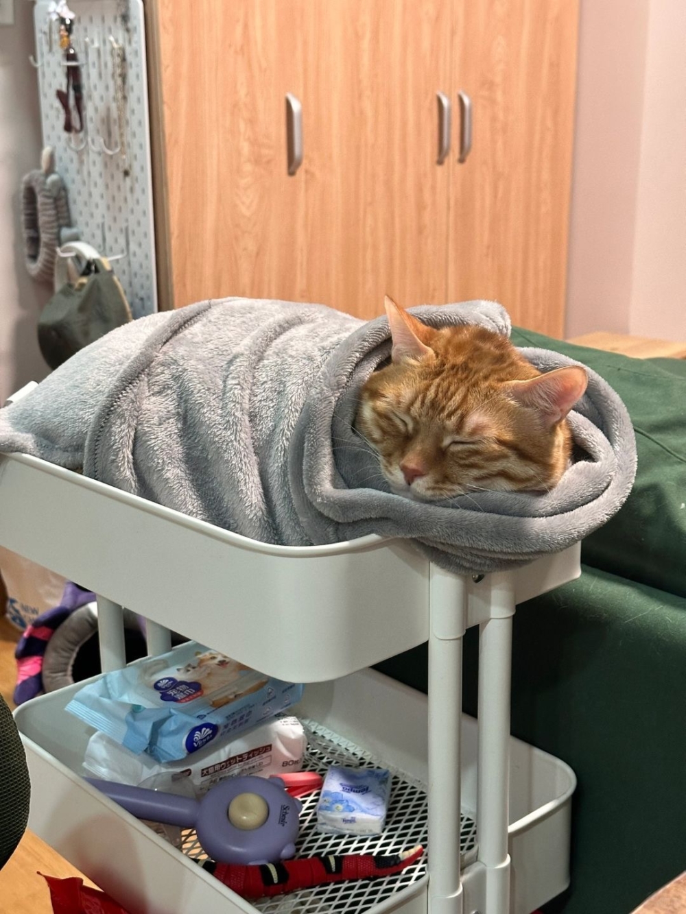 奴才：確實沒錯啦