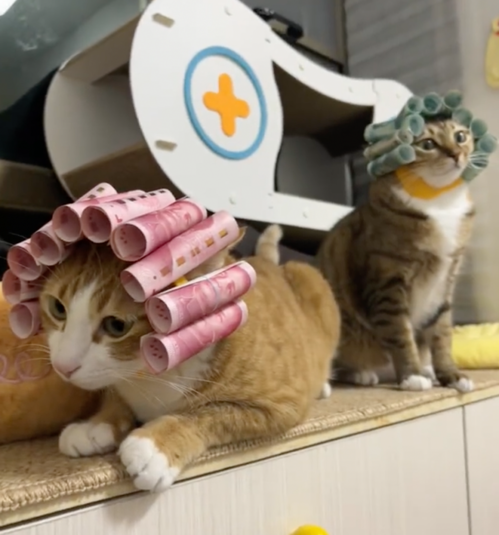 奴才：那是必須的