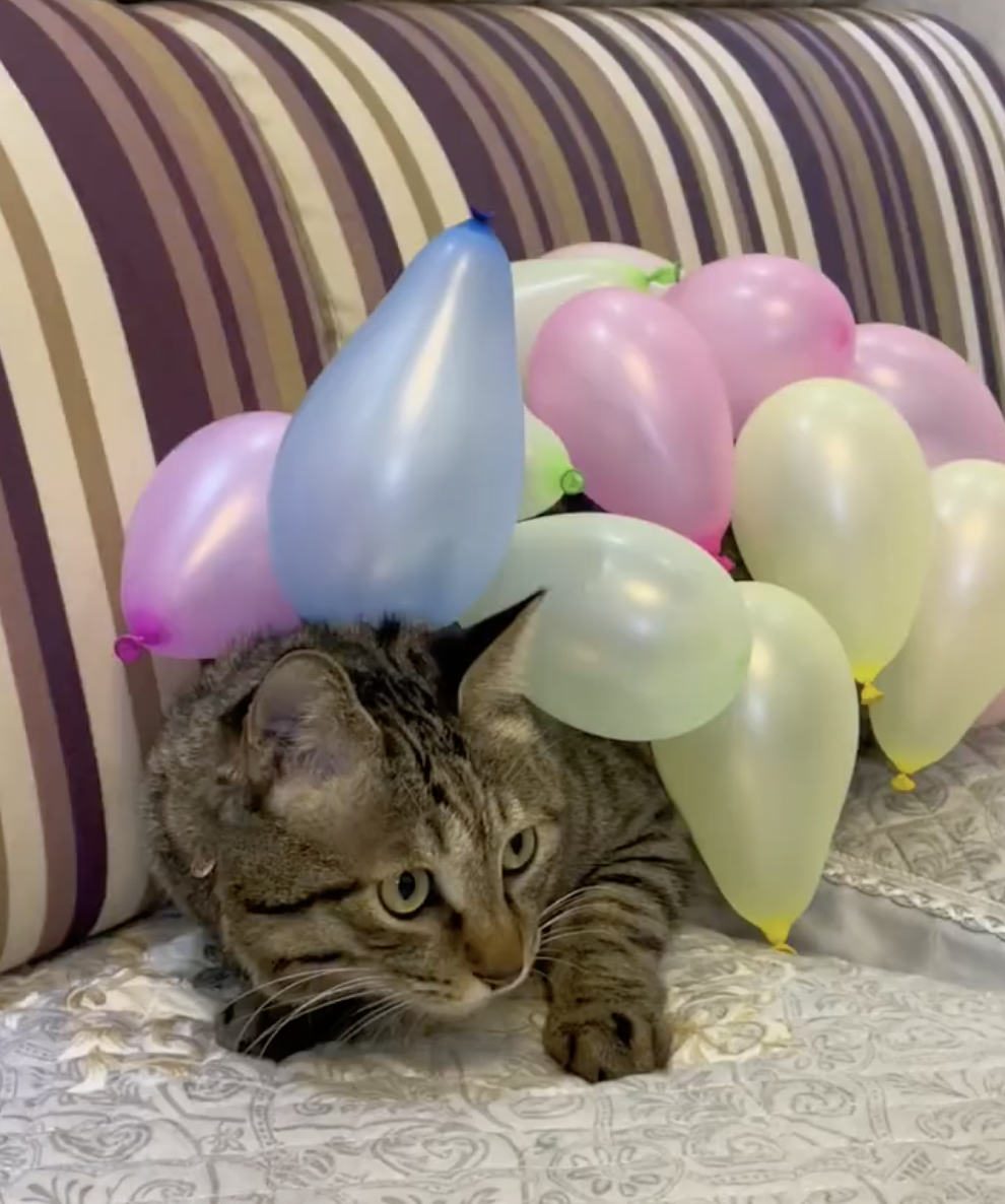 奴才：你用力甩一甩囉