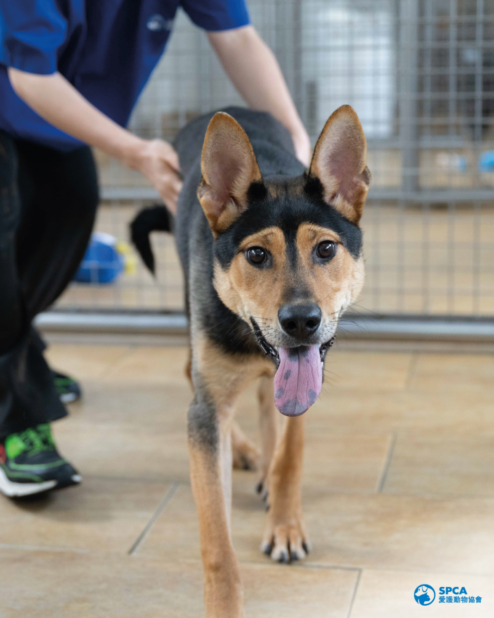 每日都有自由活動時間，並有管理員監察。