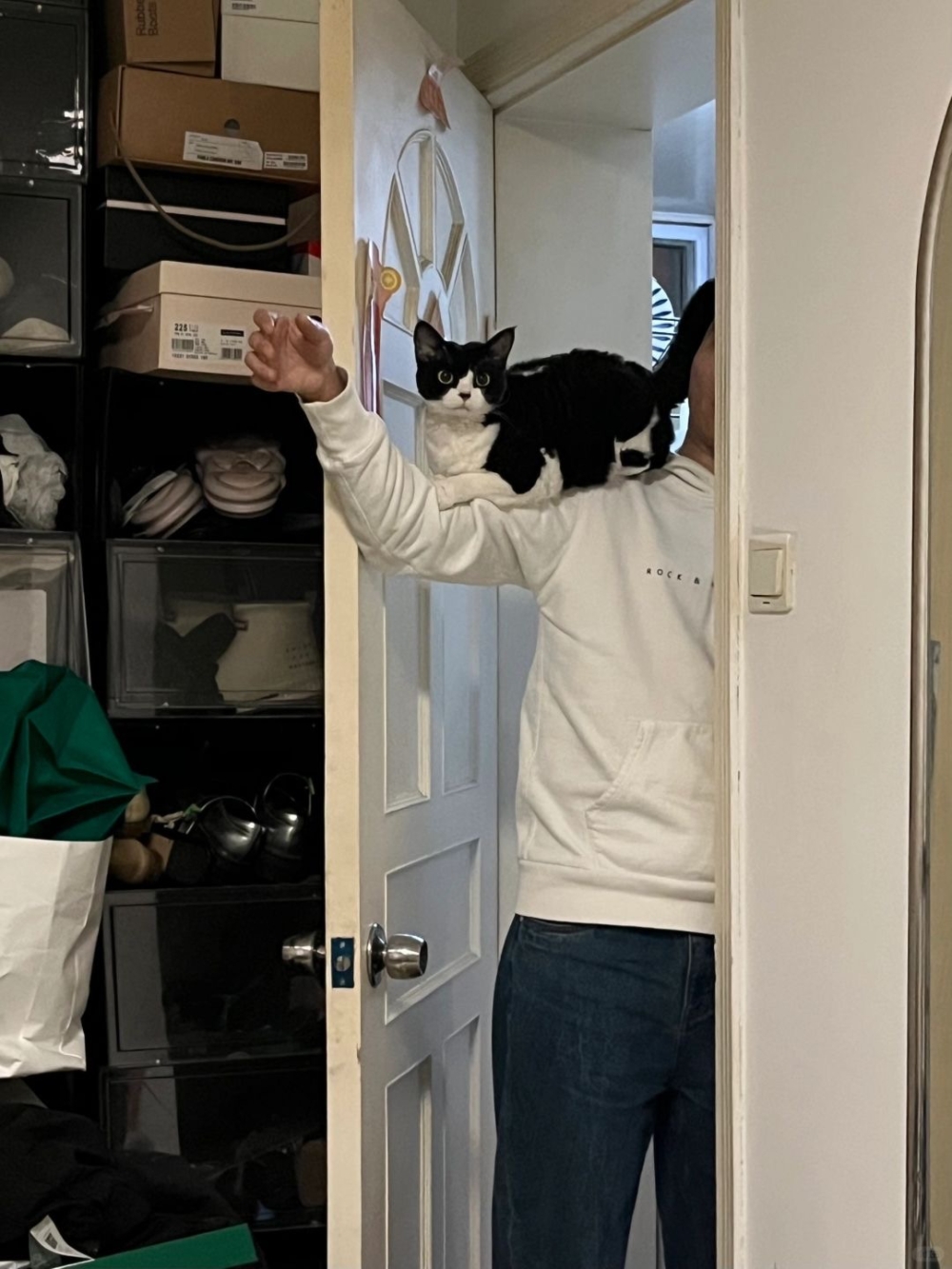 奴才：你還怪好的喔