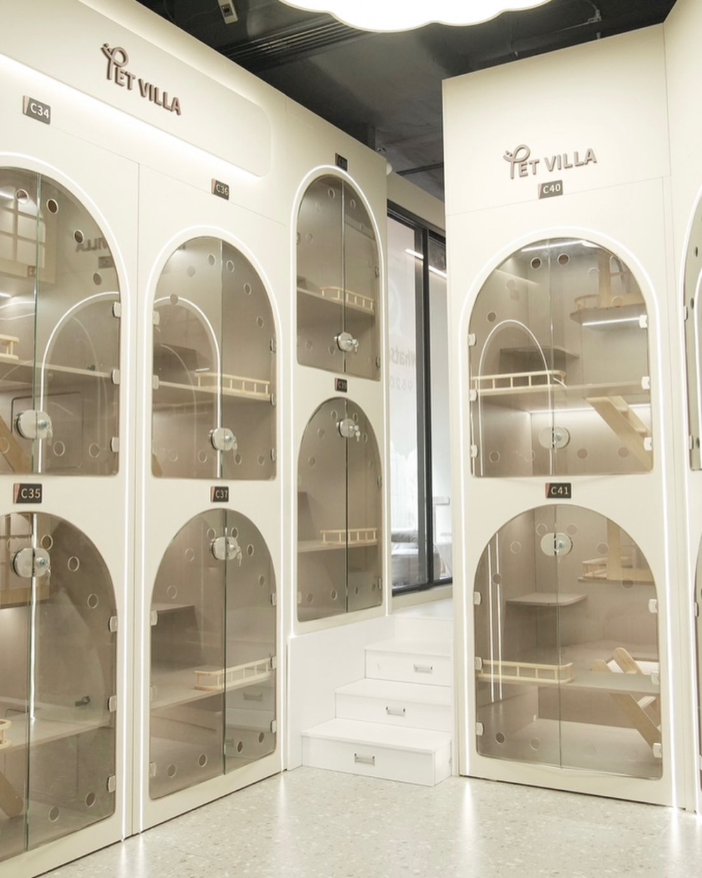 Pet Villa有4種不同類型的貓貓客房可供選擇。
