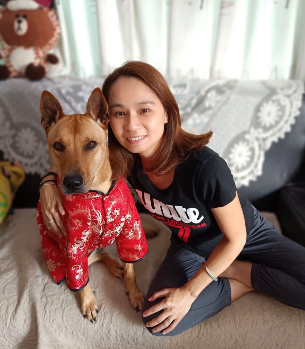 「蕃茄」的暫託家長欣欣最後決定領養牠。