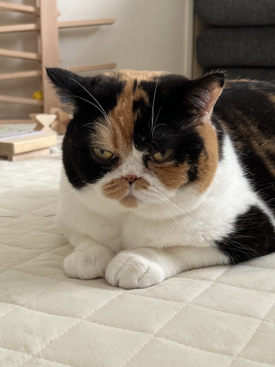 奴才：才拍了張照而已欸