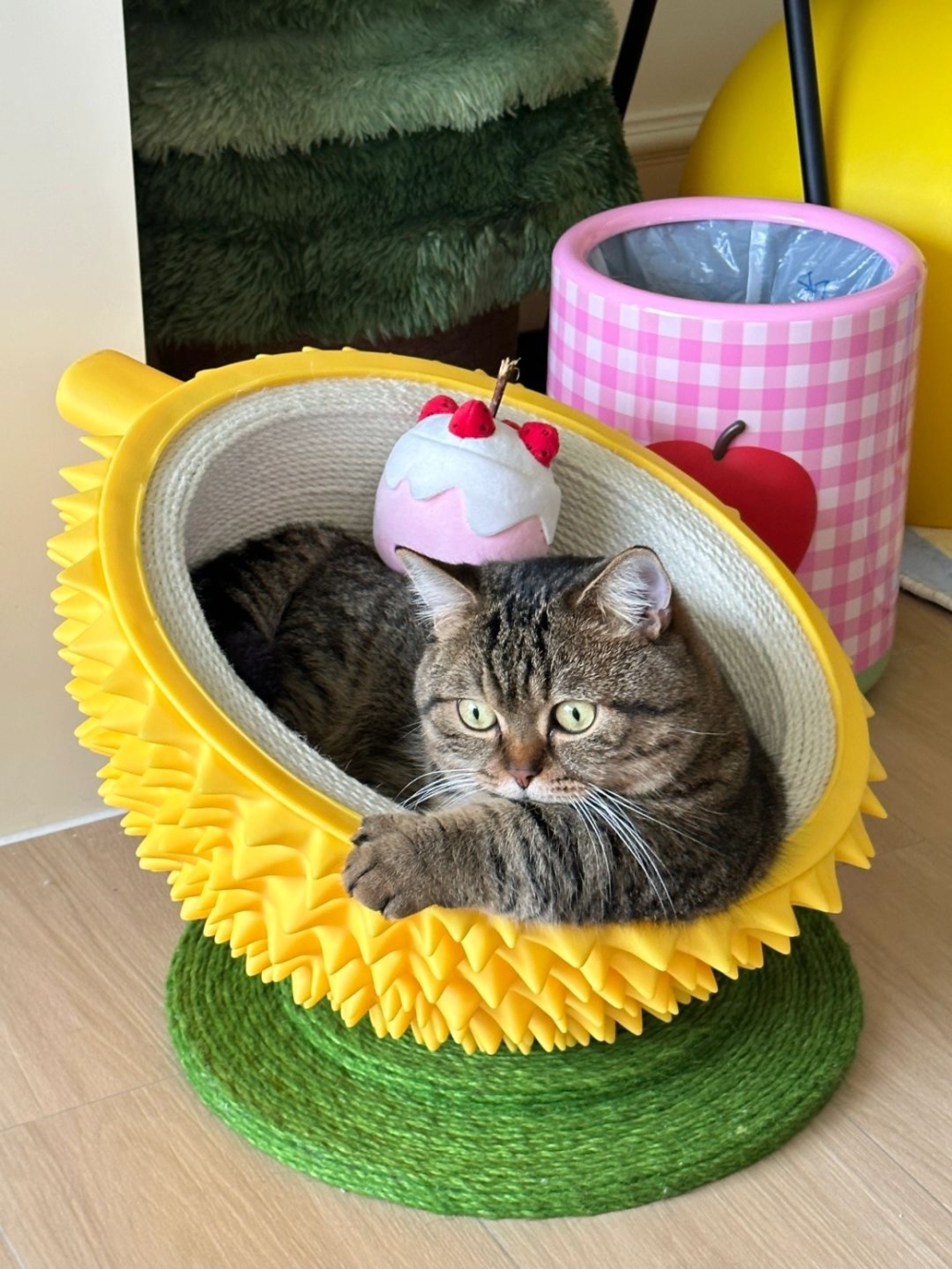 奴才:沒有被醃入味啦