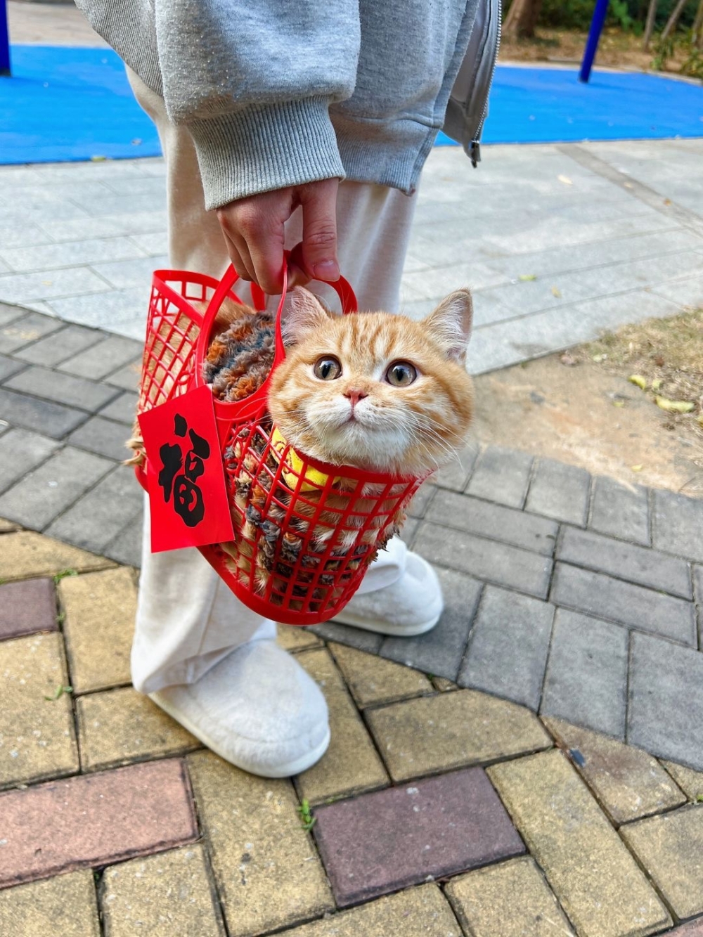 奴才：所以帶著你出來拜年啦