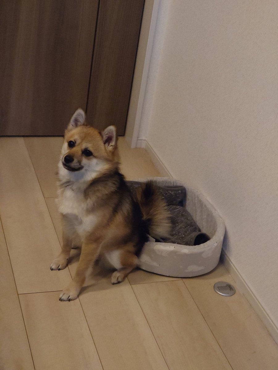 奴才:你好聰明啊