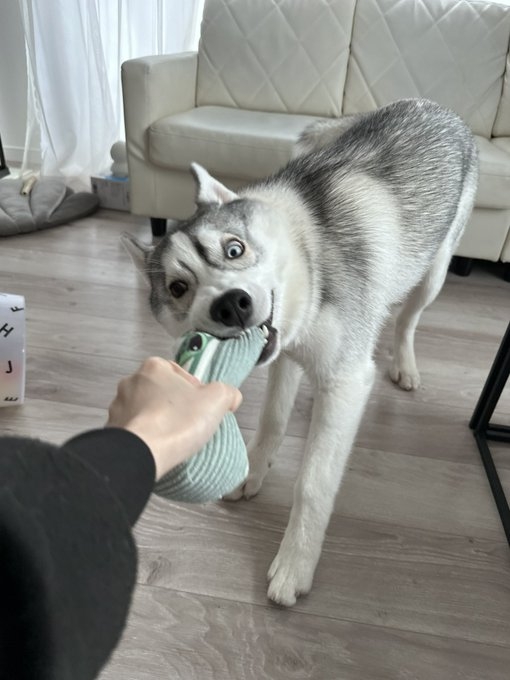 奴才：那你倒是鬆口啊