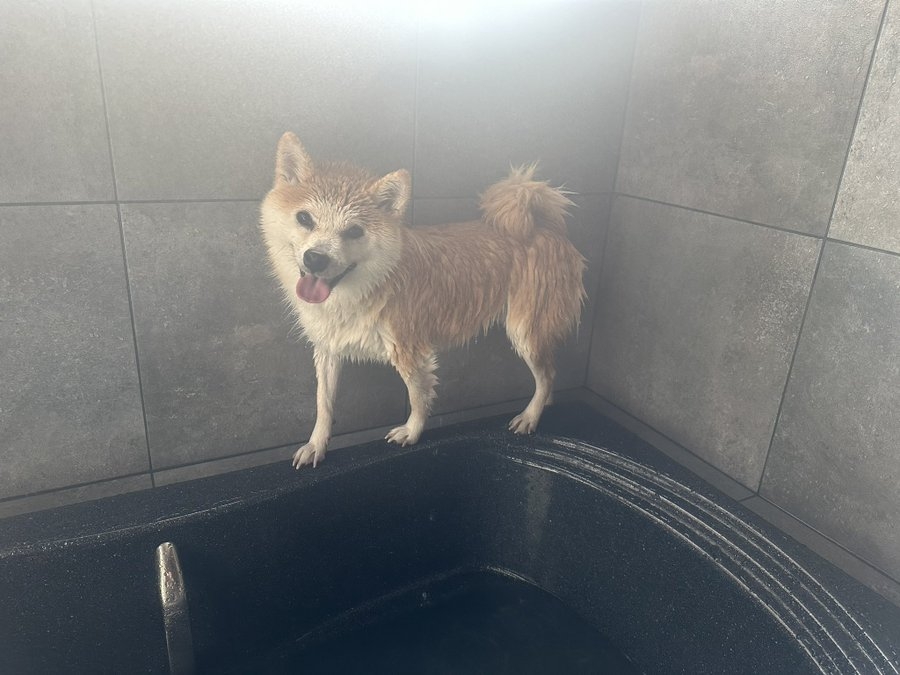 奴才：你就不能休息片刻...