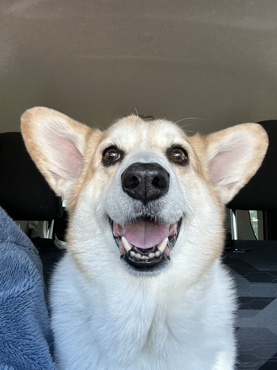 奴才：哎呦，我等下會來解救你噠