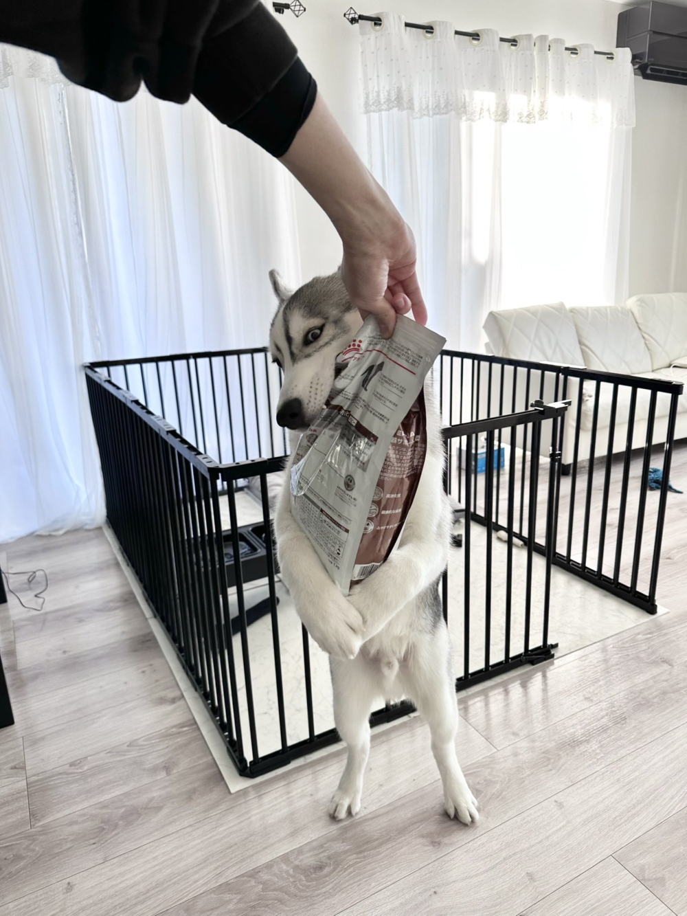 奴才：你這樣我打不開啊