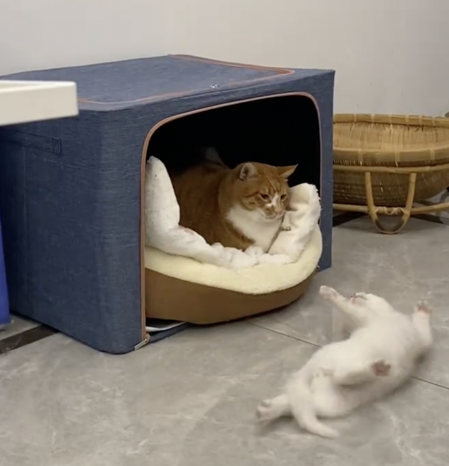 奴才：你真大度啊