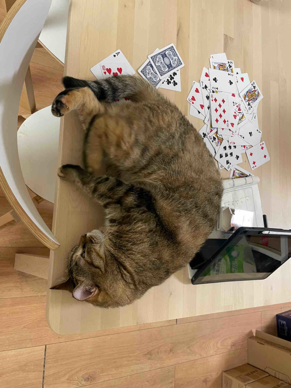 奴才：完了，被一語命中啦