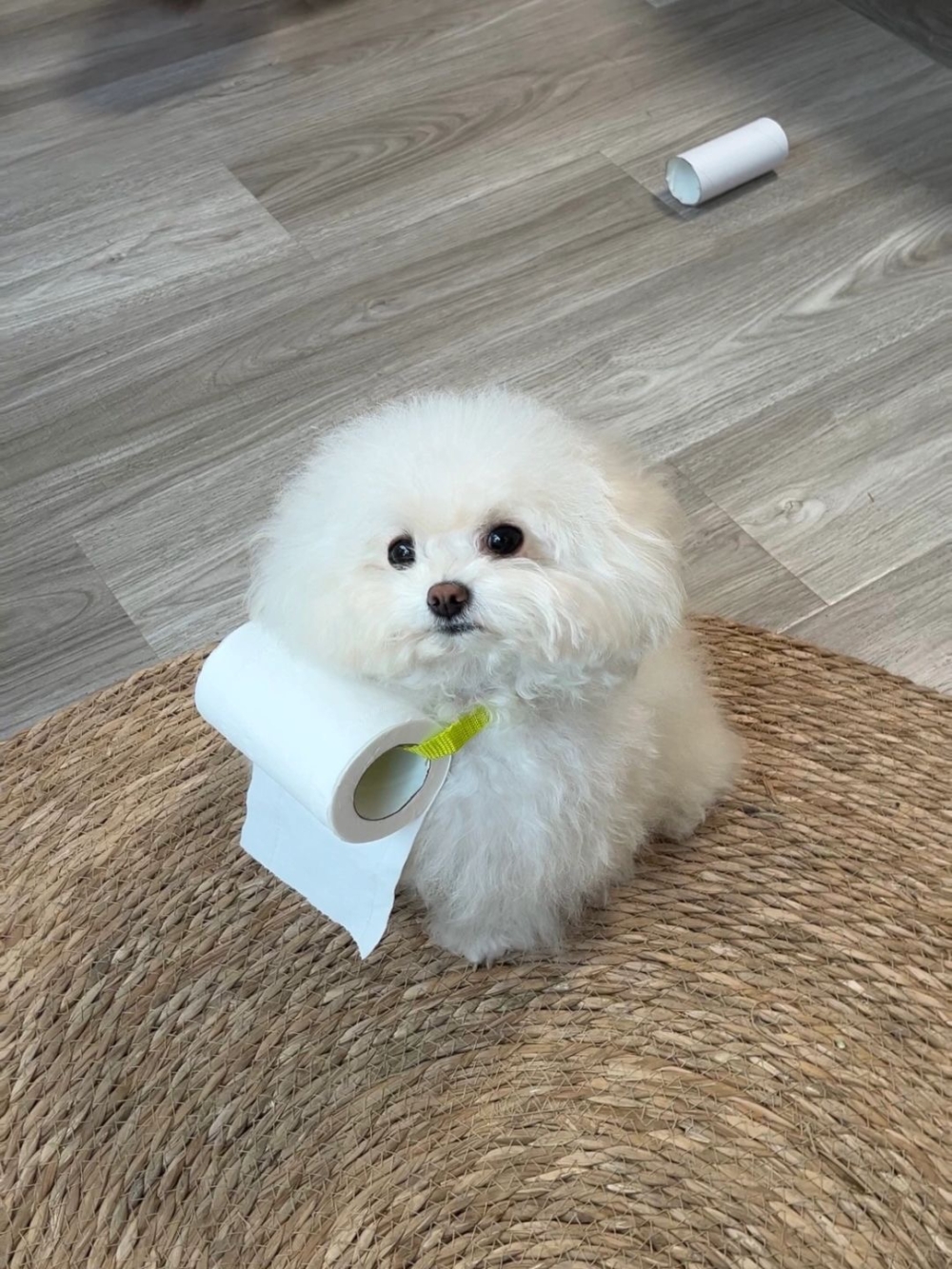 奴才：這樣好方便喔