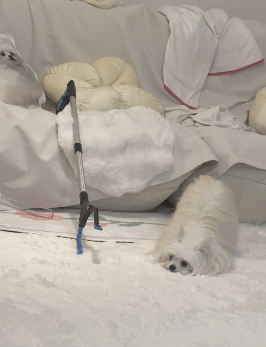 奴才：好，我很快